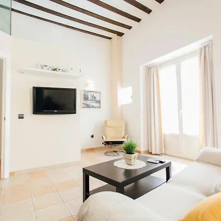 Triplex Con Terraza Celinda * Seville